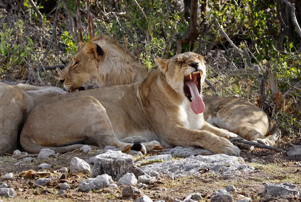 6_Namibia_10_20150840.jpg
