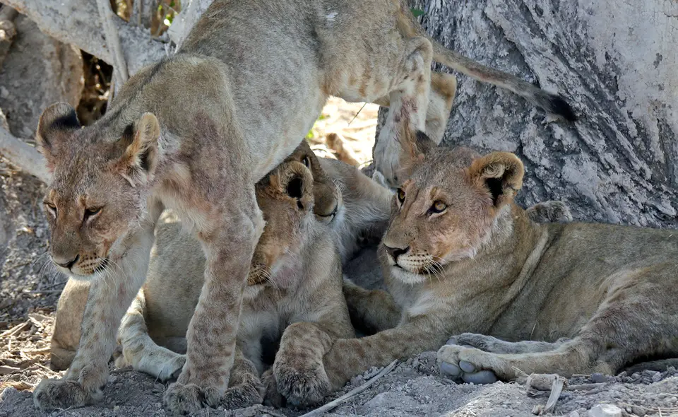 6a_Namibia_10_20150236.jpg