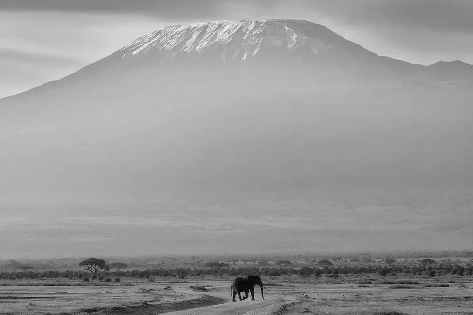 7_ENI2565_17.jpg