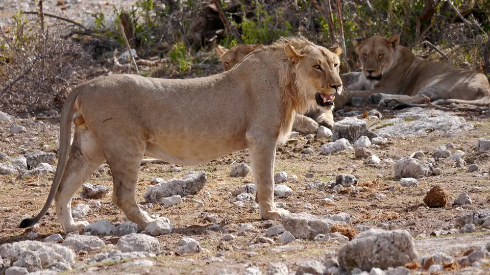 7_Namibia_10_20150206.jpg