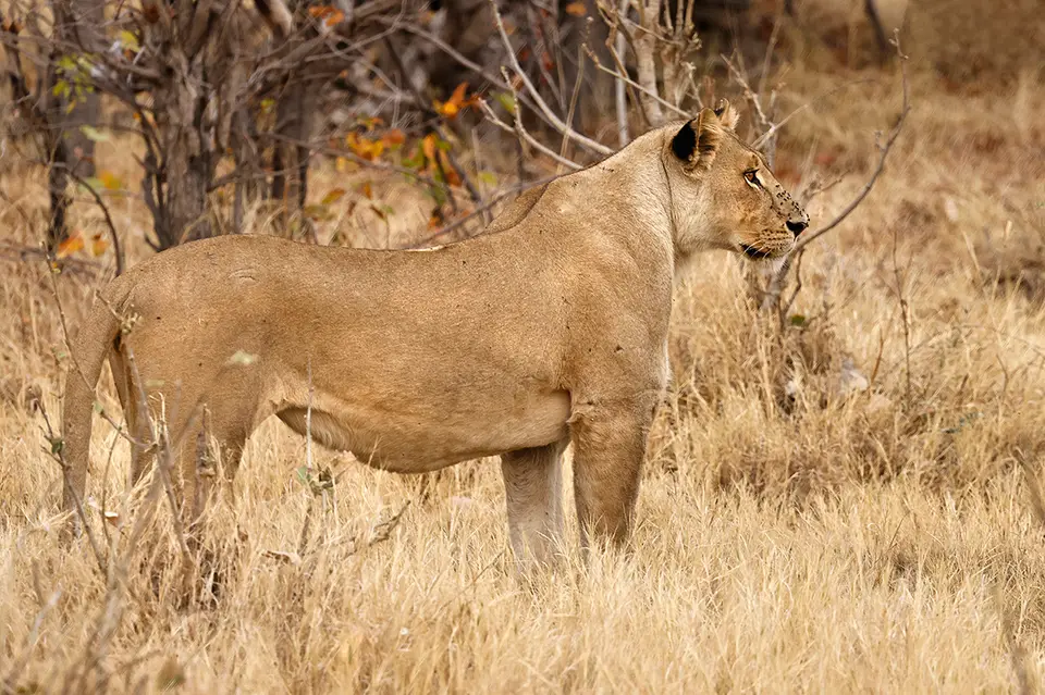 7_OT_4717_172.jpg
