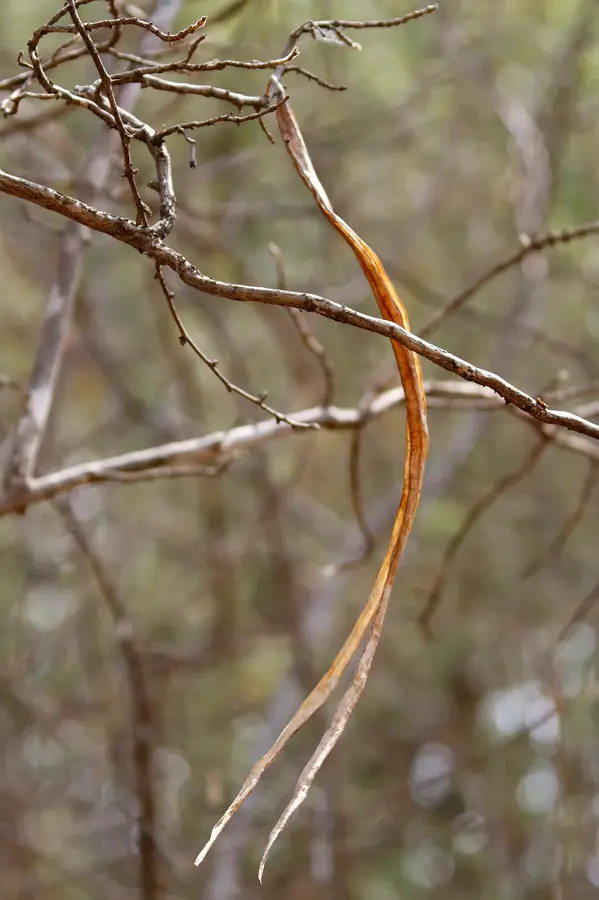 8_FR_8064.JPG