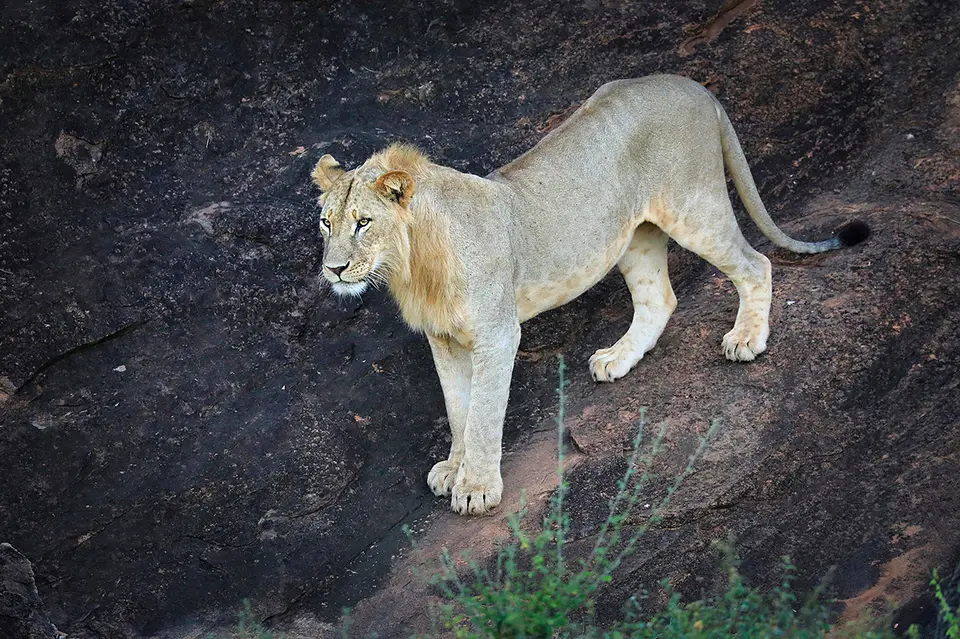 9_ENI7627_7.jpg