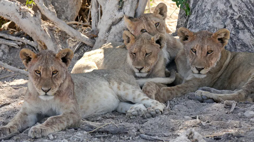 9_Namibia_10_20150241.jpg
