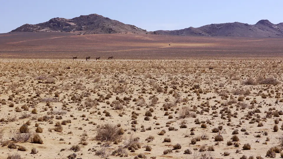 Namibia_10_20150050.jpg