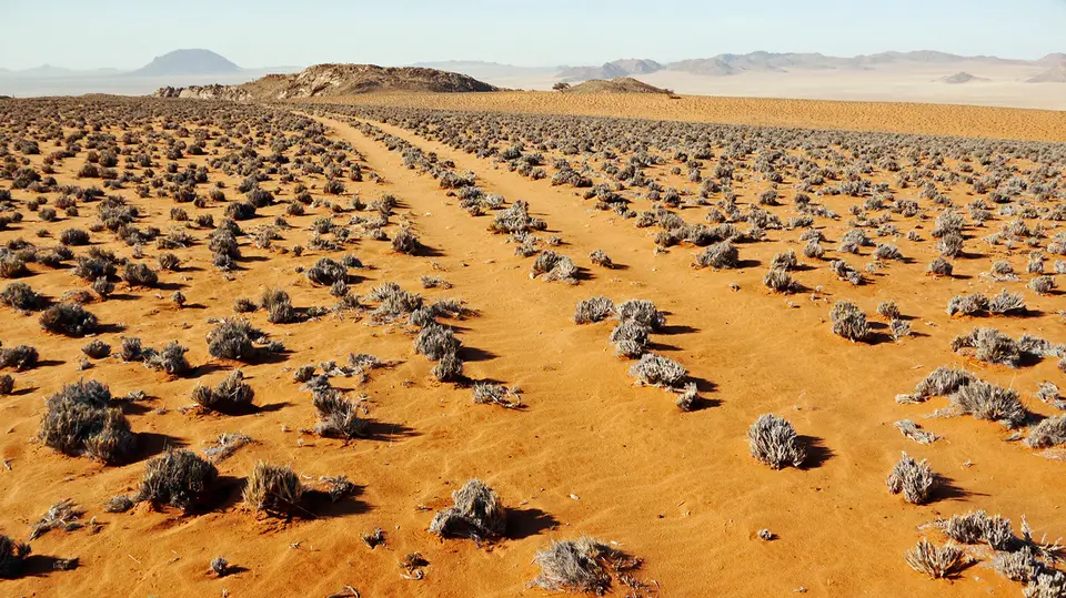 Namibia_10_20150056.jpg
