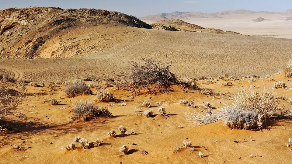 Namibia_10_20150057.jpg