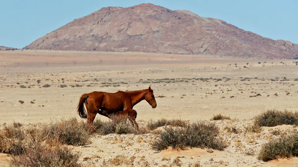 Namibia_10_20150089.jpg