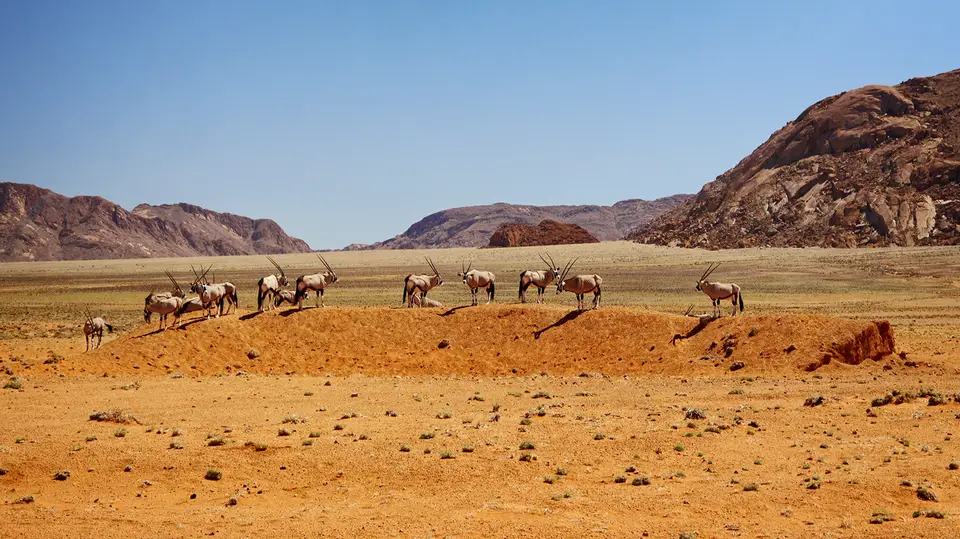 Namibia_10_20150092.jpg