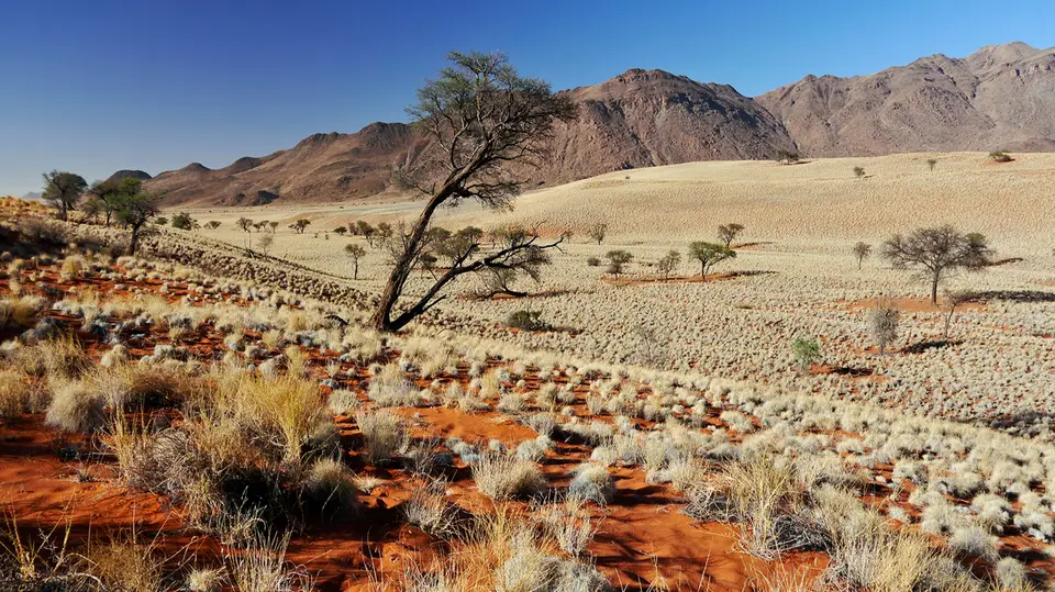 Namibia_10_20150107.jpg