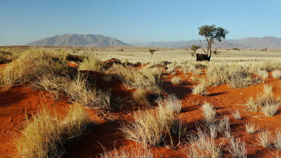 Namibia_10_20150110.jpg