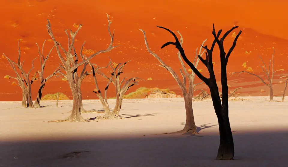 Namibia_10_20150129.jpg