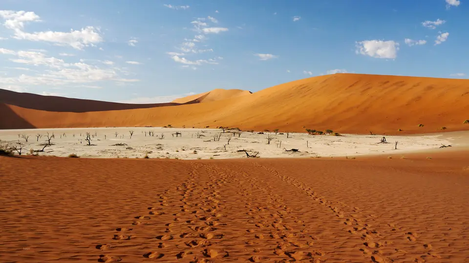 Namibia_10_20150141.jpg