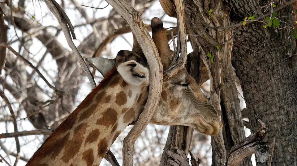 Namibia_10_20150185.jpg