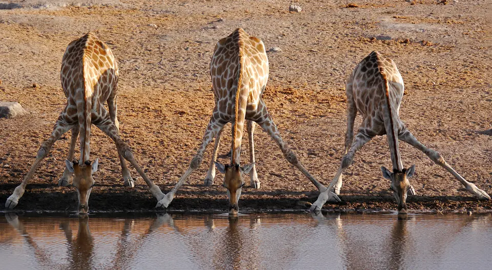 Namibia_10_20150191.jpg