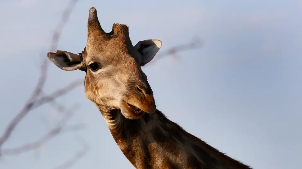 Namibia_10_20150195.jpg