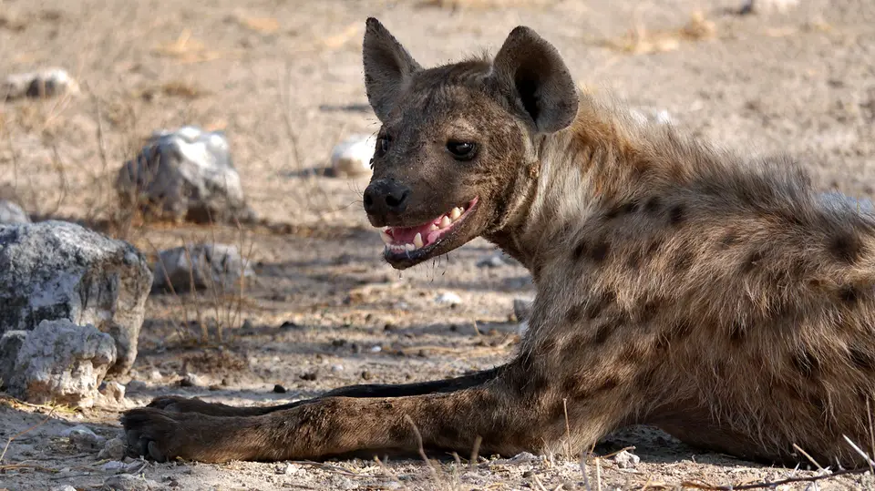Namibia_10_20150218.jpg