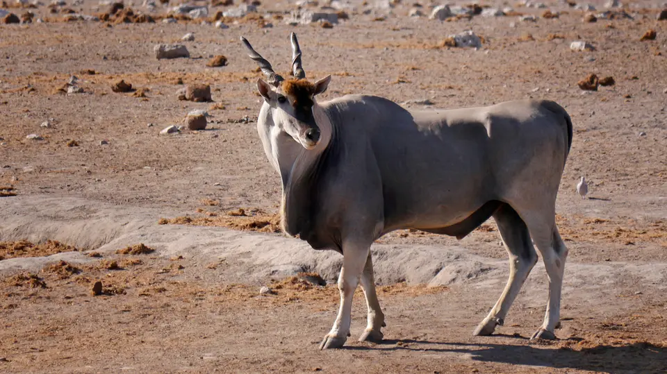 Namibia_10_20150227.jpg