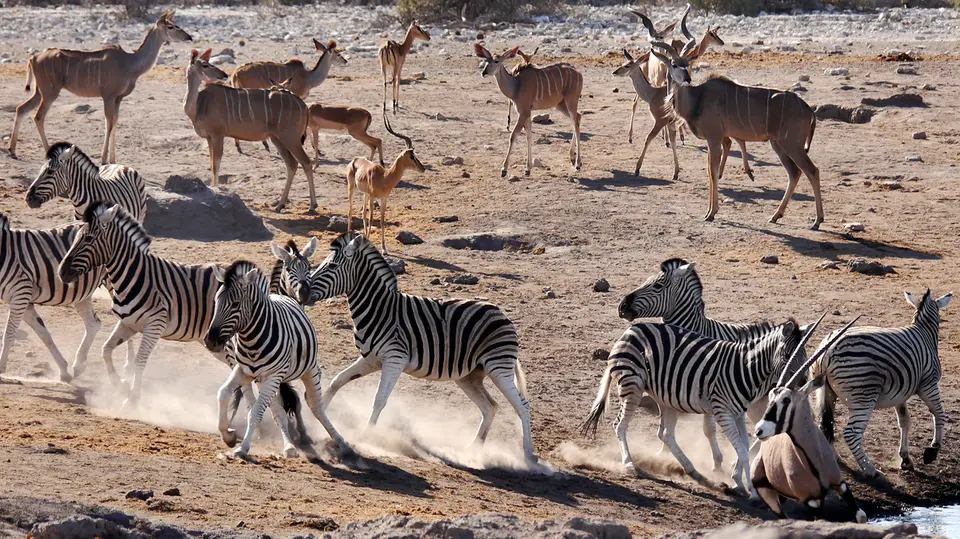 Namibia_10_20150228.jpg