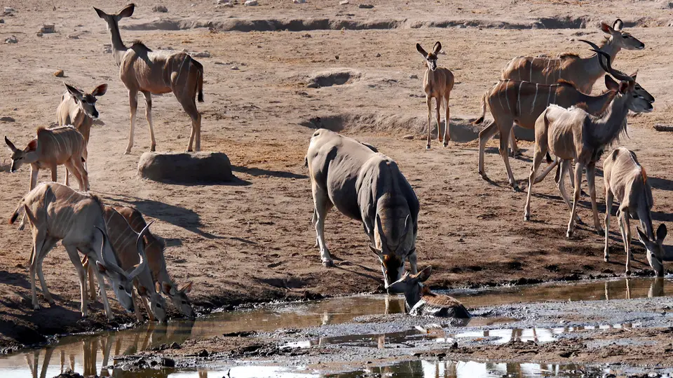 Namibia_10_20150231.jpg