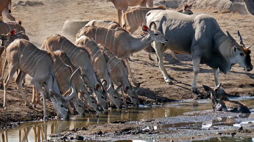 Namibia_10_20150232.jpg