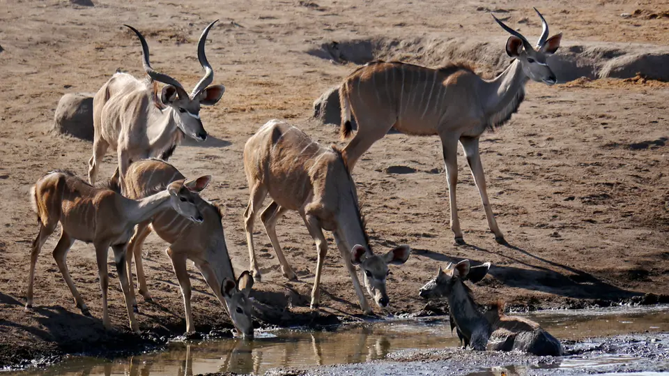 Namibia_10_20150233.jpg