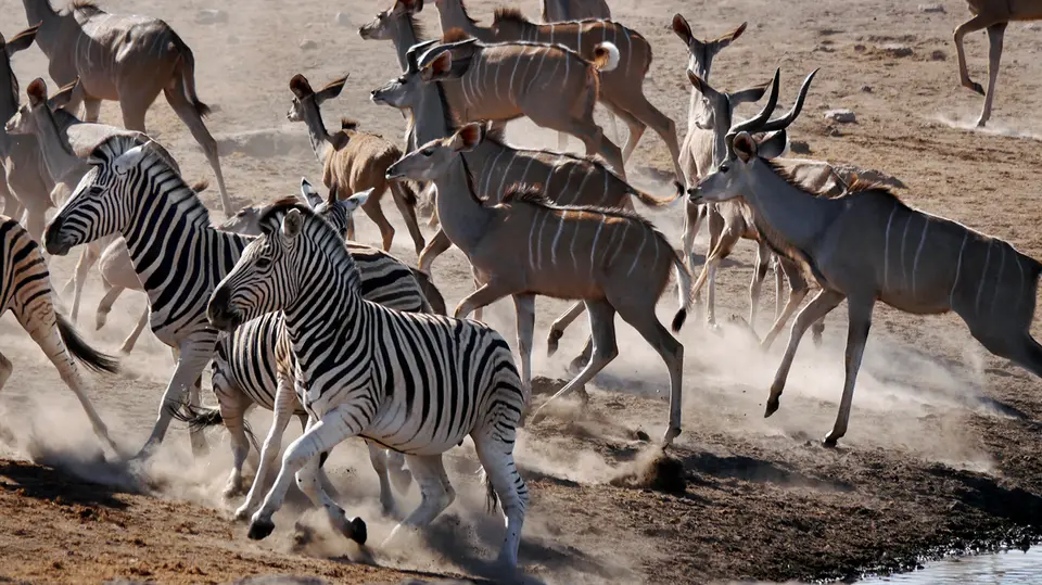 Namibia_10_20150234.jpg