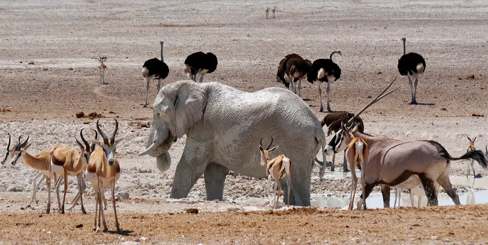 Namibia_10_20150262.jpg