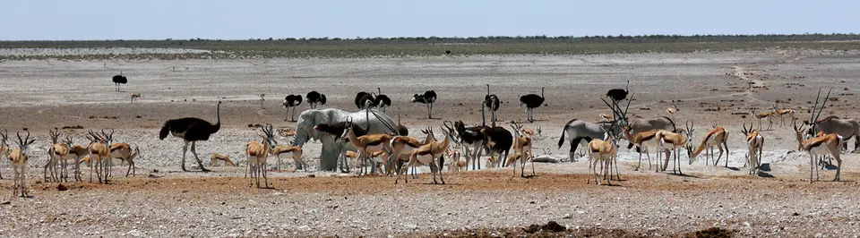 Namibia_10_20150263.jpg