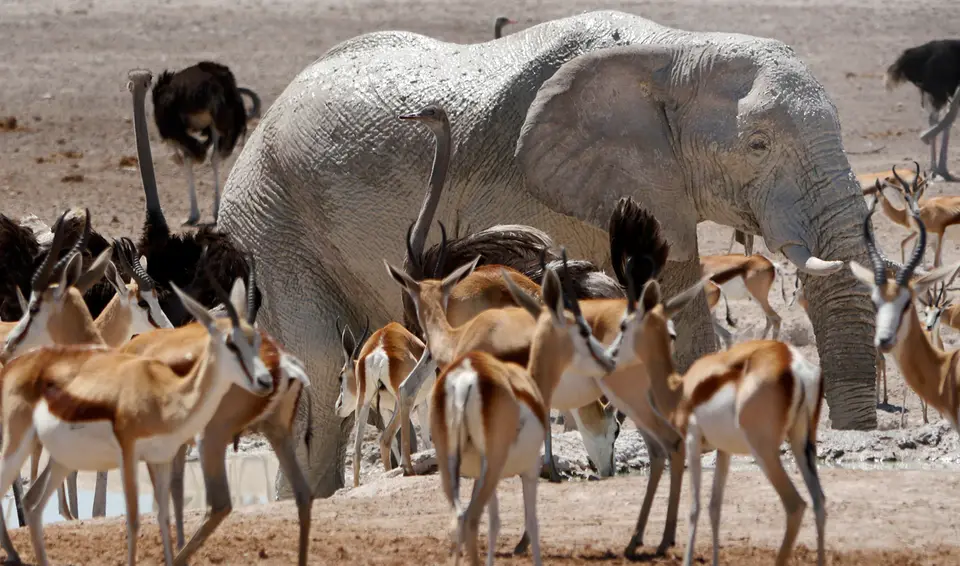 Namibia_10_20150266.jpg
