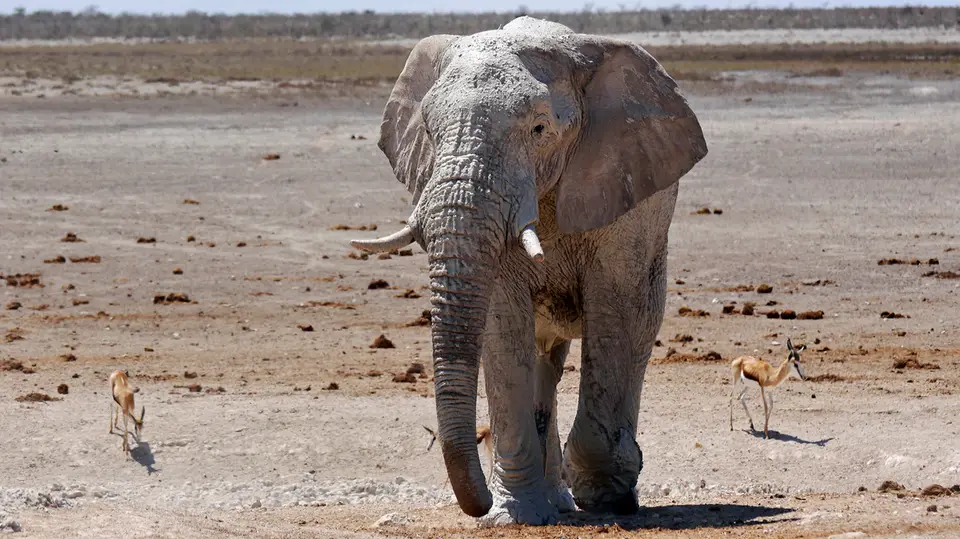 Namibia_10_20150268.jpg