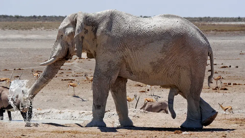 Namibia_10_20150269.jpg