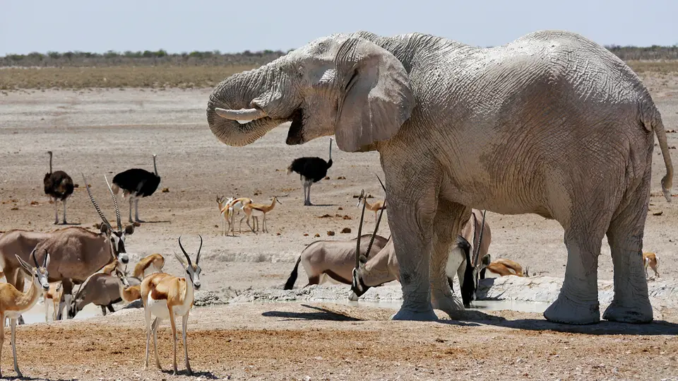Namibia_10_20150271.jpg