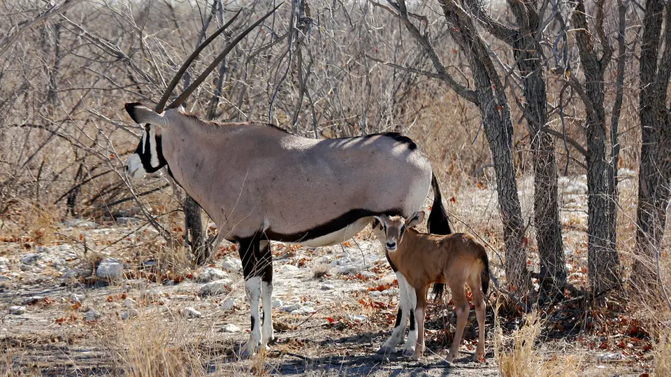 Namibia_10_20150278.jpg