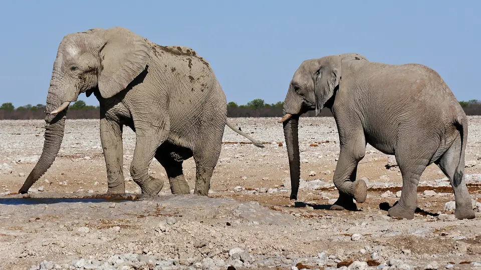 Namibia_10_20150279.jpg