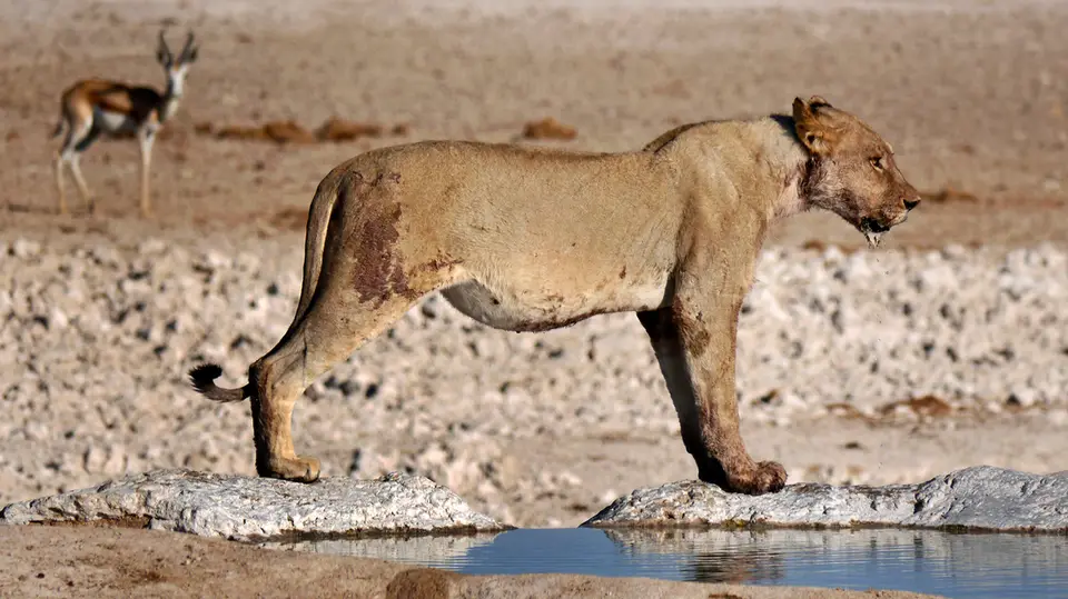 Namibia_10_20150282.jpg