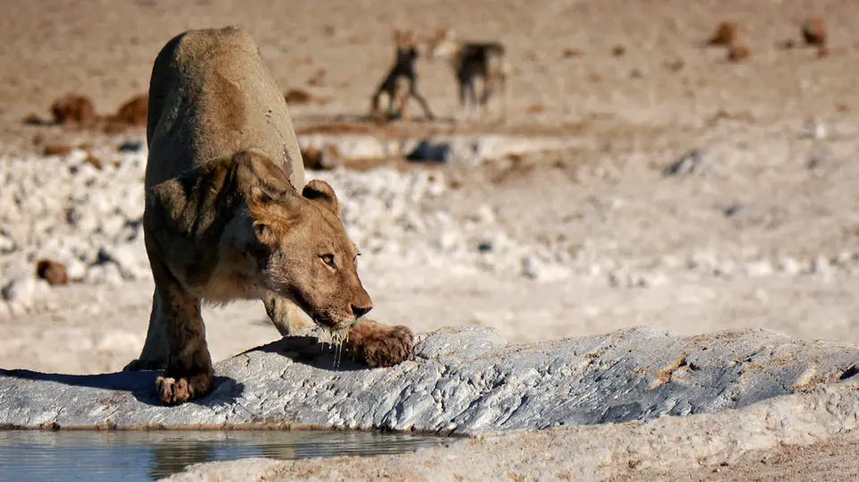 Namibia_10_20150283.jpg