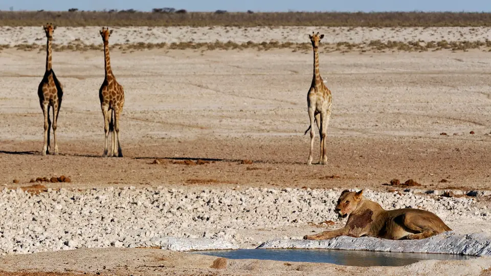 Namibia_10_20150288.jpg