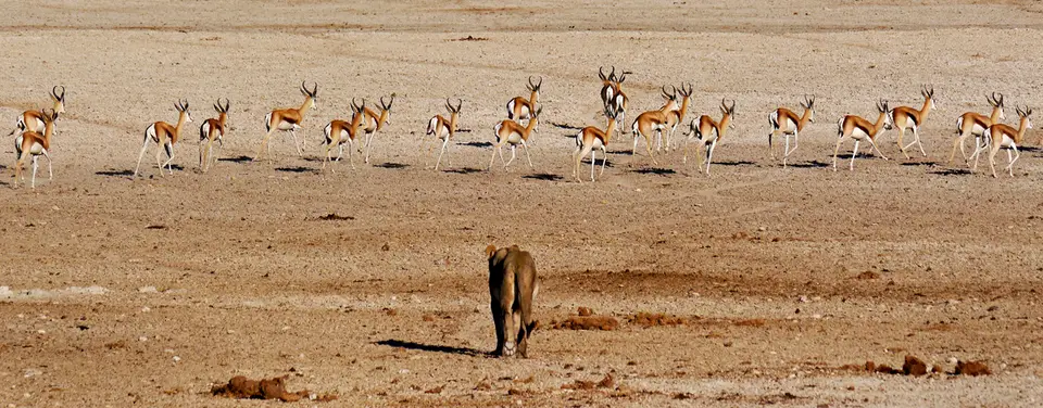 Namibia_10_20150296.jpg