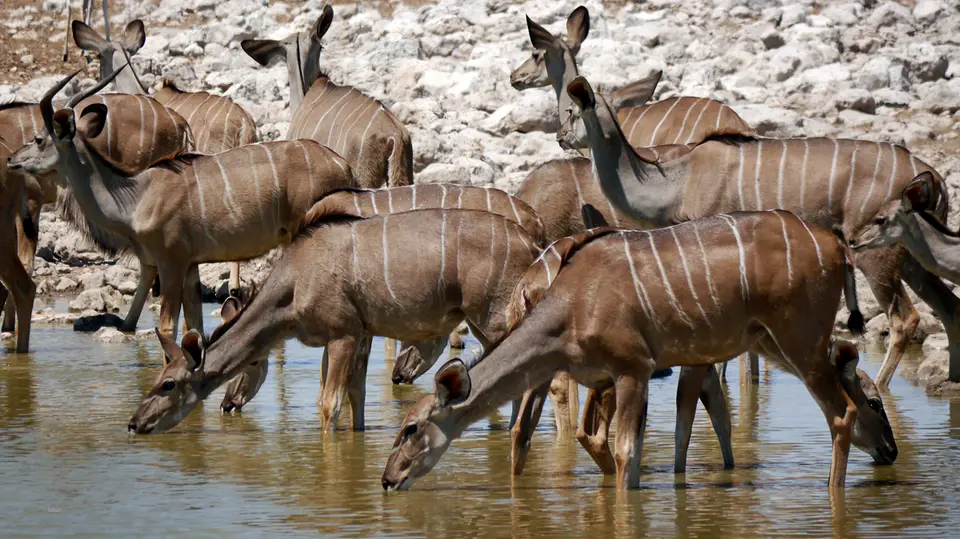 Namibia_10_20150304.jpg