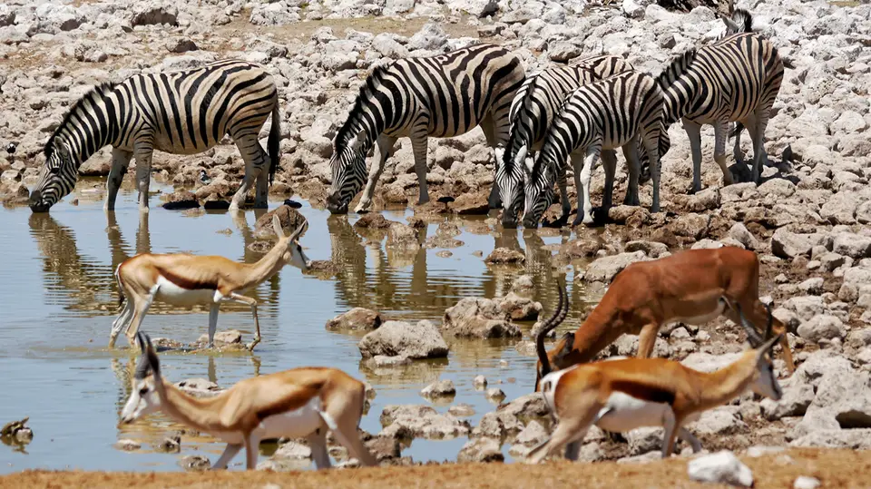Namibia_10_20150305.jpg