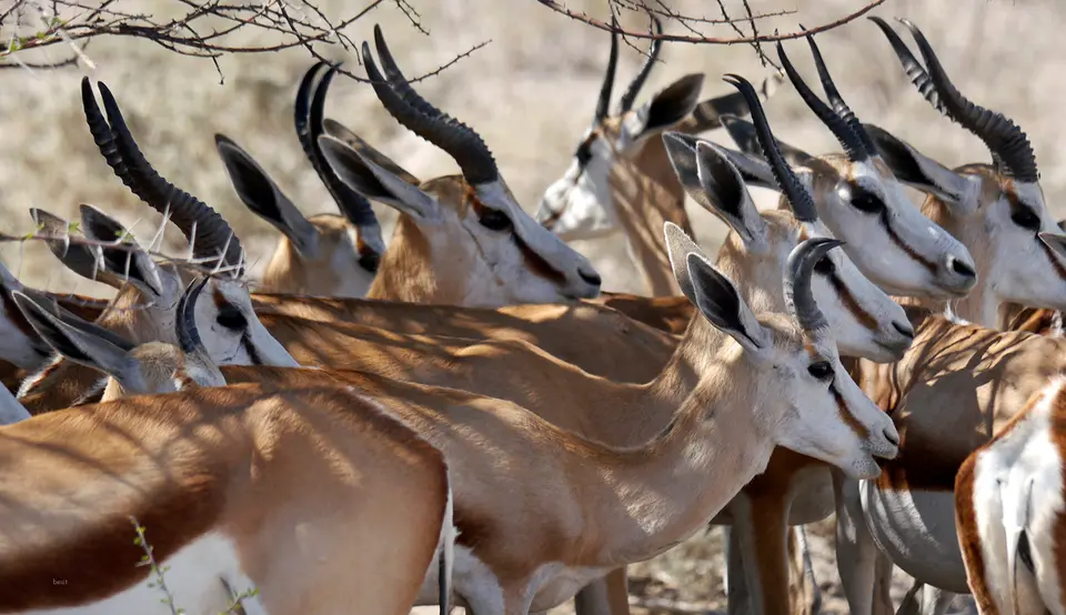 Namibia_10_20150308.jpg
