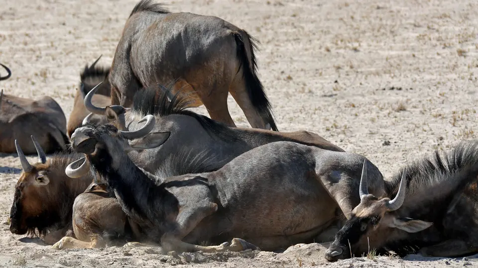 Namibia_10_20150312.jpg