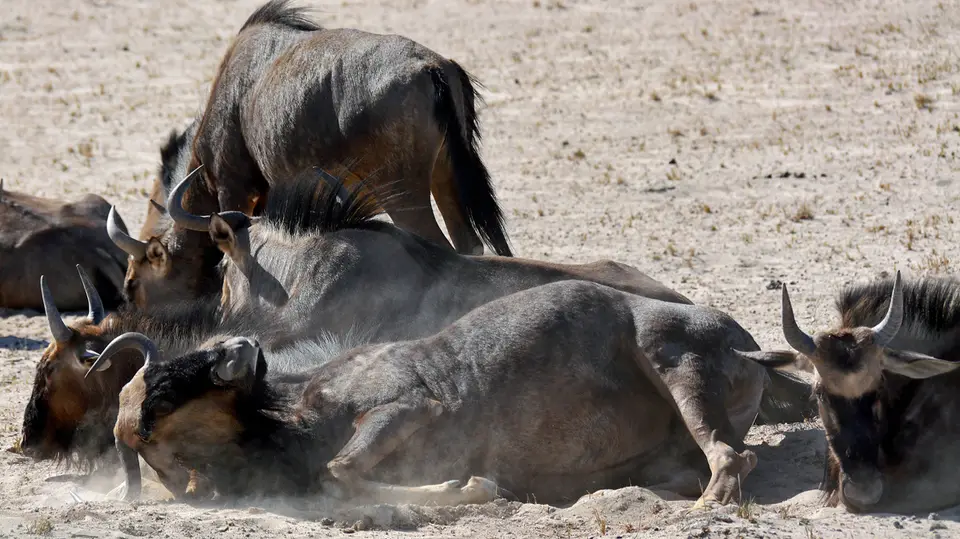 Namibia_10_20150314.jpg