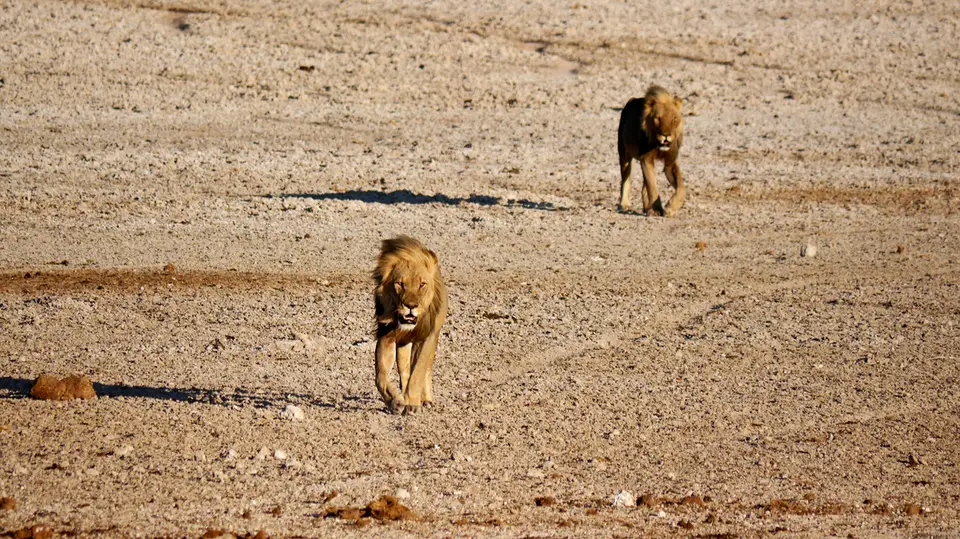 Namibia_10_20150319.jpg