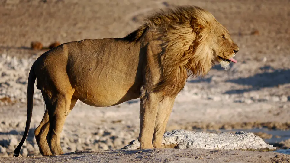 Namibia_10_20150328.jpg