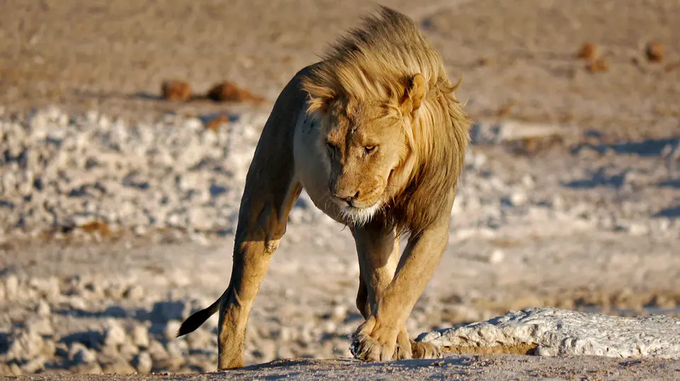 Namibia_10_20150329.jpg