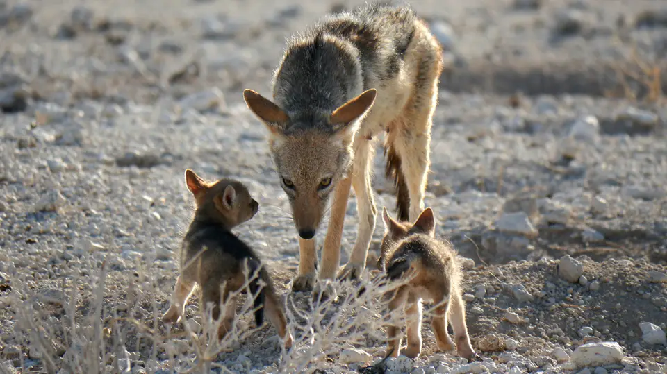 Namibia_10_20150350.jpg