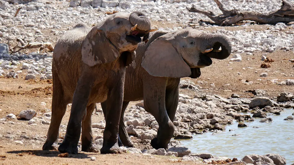 Namibia_10_20150374.jpg