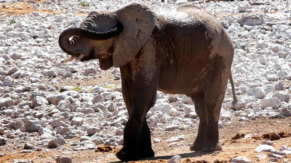 Namibia_10_20150379.jpg